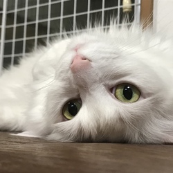 「サプライズ！」サムネイル1