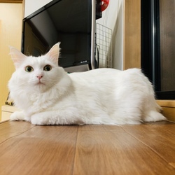 「サプライズ！」サムネイル2