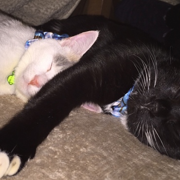 ただただ見ているこっちが幸せな瞬間