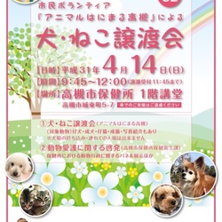 アニマルはにまる高槻による犬・猫譲渡会
