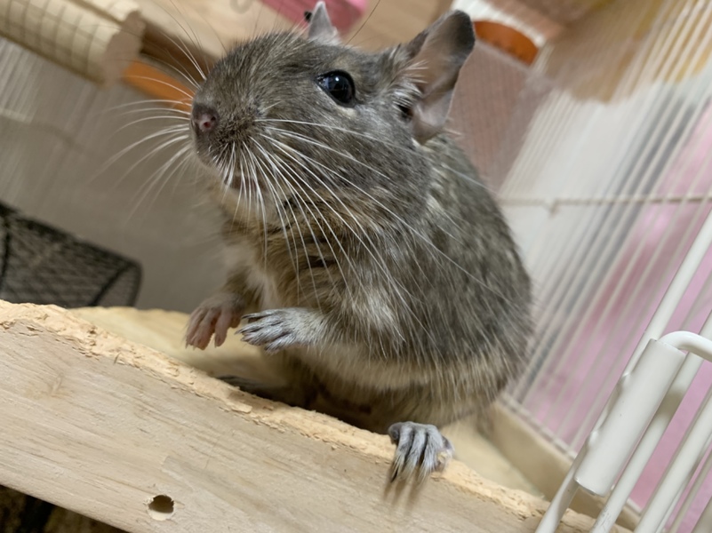 希望者多数のため受付終了！ サムネイル2