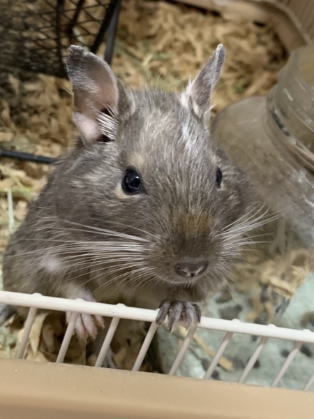 希望者多数のため受付終了！ サムネイル3