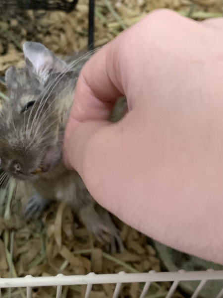 希望者多数のため受付終了！ サムネイル6