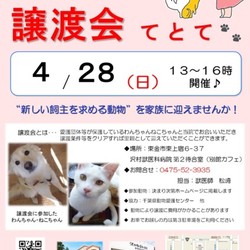 犬猫譲渡会『てとて』