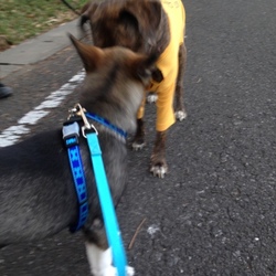 トライアル6日目　つかずはなれず