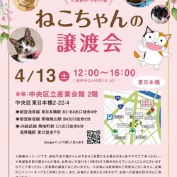 ねこざんまい譲渡会@東日本橋