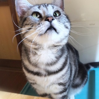 のんびり大きい男の子☆もっちー君