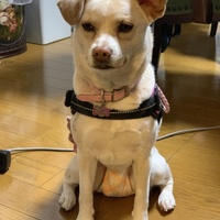 エリオー