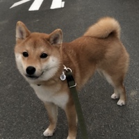 虎太郎