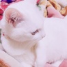 ぬんぼ