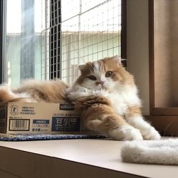 「サプライズ！②」サムネイル1