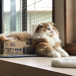 「サプライズ！②」サムネイル2