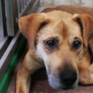 直接お迎えの方に。ありがとうございます(;_;)