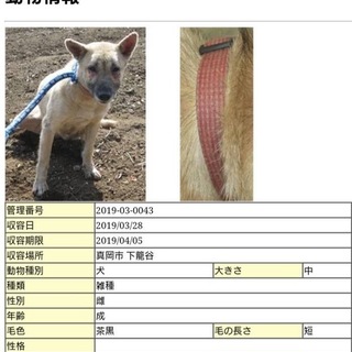 助けられませんでした、、又会おうね