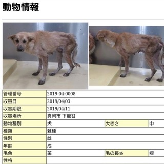 4/15 家族ができました！