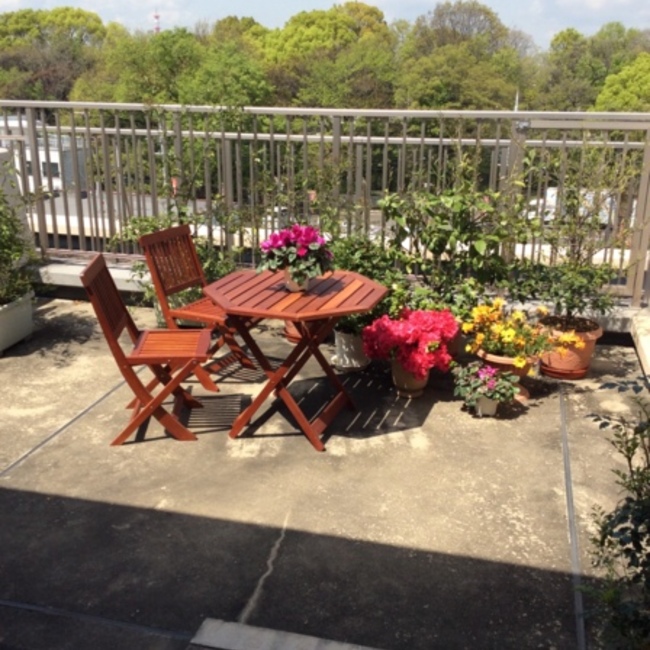 アオリちゃんのカバー写真