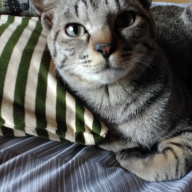 ユカリンのカバー写真