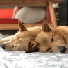 寝る時だけは必ず一緒✰✰