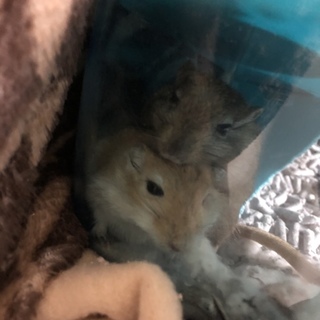 仲良しジャービル♡