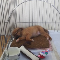 「性格」サムネイル1