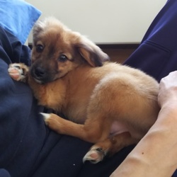 「性格」サムネイル2