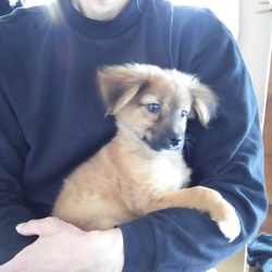 「性格」サムネイル3