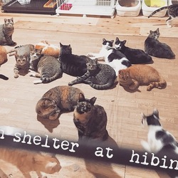 １日２組限定／オープンシェルター