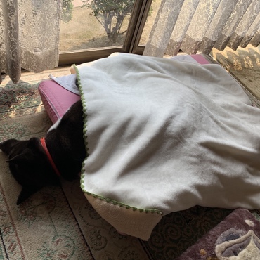 あたま落ちてるよ〜〜