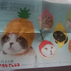 「300円もする ガチャガチャ（笑）」サムネイル1