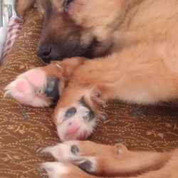 「寂しがり」サムネイル1