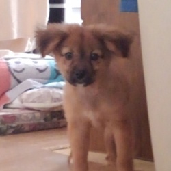 「寂しがり」サムネイル2