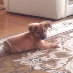 「寂しがり」サムネイル3