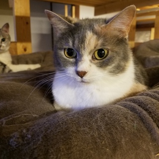 おっとりなみいちゃん