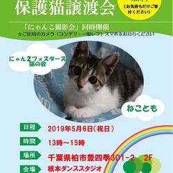 5/6【祝】　猫カフェ風保護猫譲渡会 サムネイル1