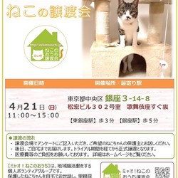 第55回★ミャオ!ねこのおうち譲渡会★銀座