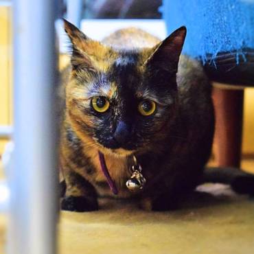 サラトガの写真