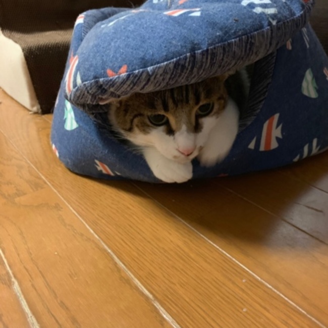 理恵0401のカバー写真