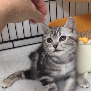 生後３ヶ月♡「ジーっとよーく狙って〜…」