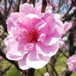 お久しぶりです！春ですね（寒い(;'∀')。。。