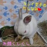 保護うさぎ：おとなし女子のもくちゃん（メス） サムネイル4