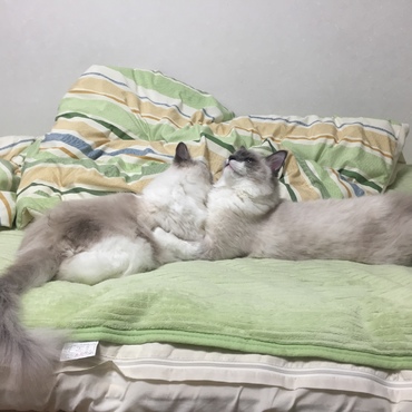 2014年♡ラブラブなAdamとEVE₍˄·͈༝·͈˄₎◞ ̑̑ෆ⃛