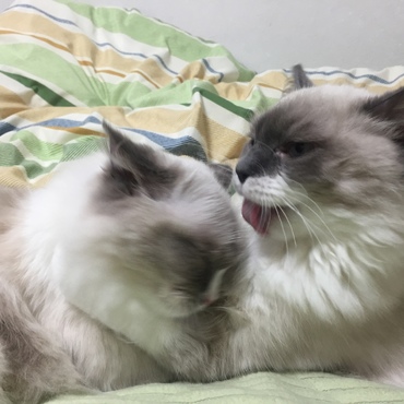 2014年♡ラブラブ２枚目₍˄·͈༝·͈˄₎◞ෆ⃛̑̑ෆ⃛