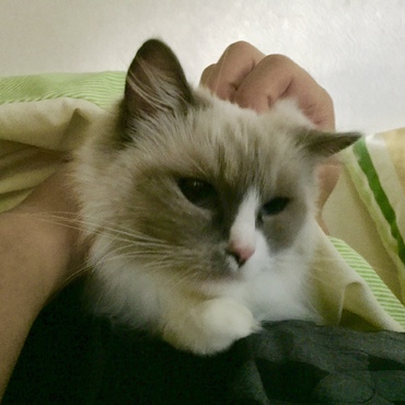 2014年♡まったり甘えたモード٩(*´︶`*)۶҉