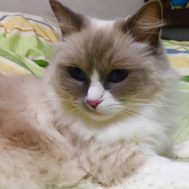 2014年♡品のある表情に思わずパシャリッ(ლ˘╰╯˘).｡.:*♡