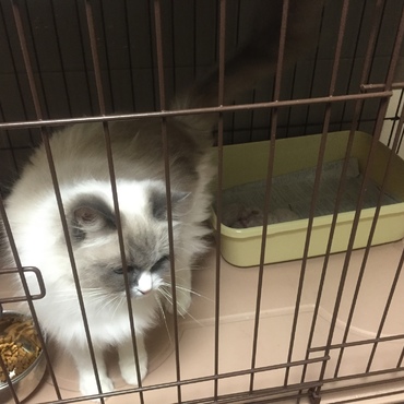 2015年♡初めての妊娠と出産*ଘ(੭*ˊᵕˋ)੭* ੈ✩‧₊˚