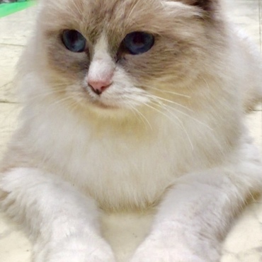 2017年♡新しい環境にも慣れてきました❀.(*´◡`*)❀.