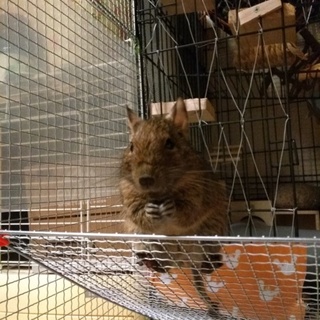 素敵な里親様に巡り会えました★