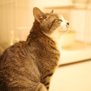 ★はなぴーくん★