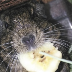 「これぞ縁⁉」サムネイル3