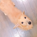 遊ぶのが大好きな明るい子です。